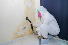 Best Asbestos and Lead Testing During Mold Inspection  in Centerville, MN